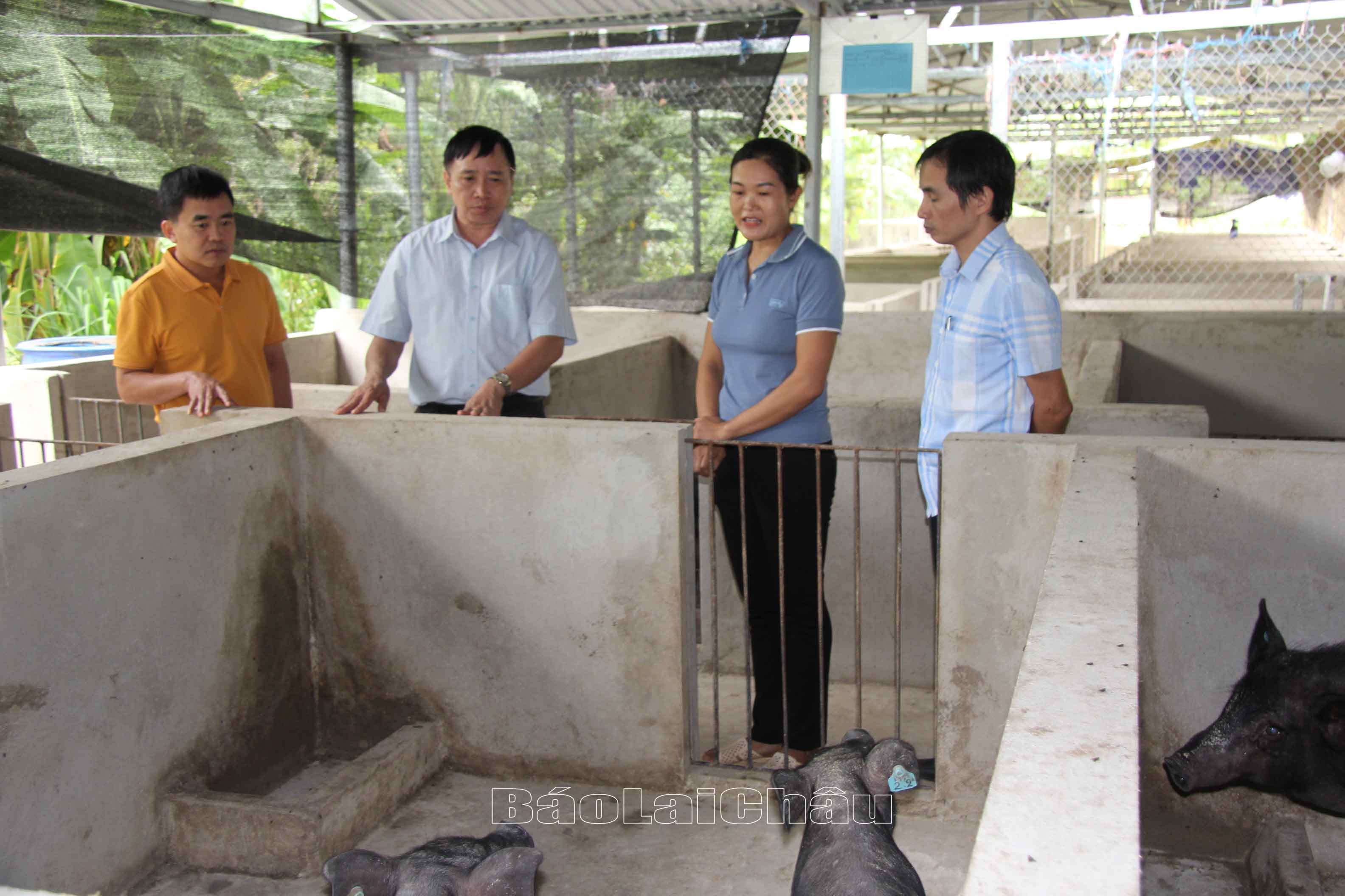 mô hình trang trại lợn 